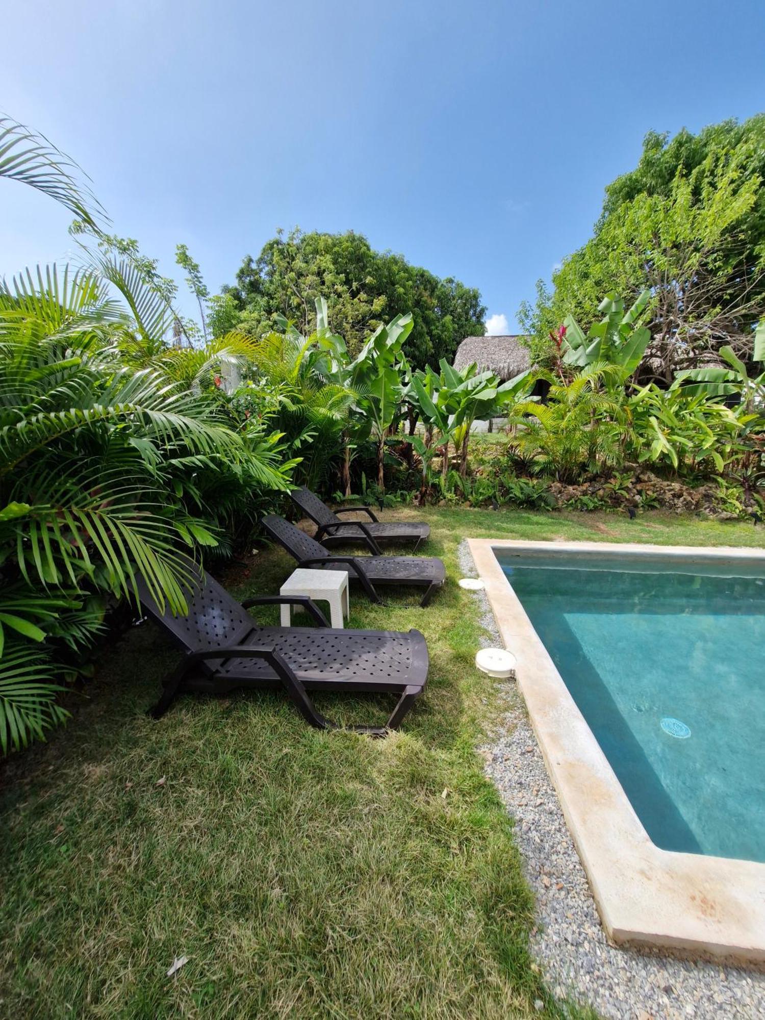 Bungalows Colibri Las Galeras Exterior photo